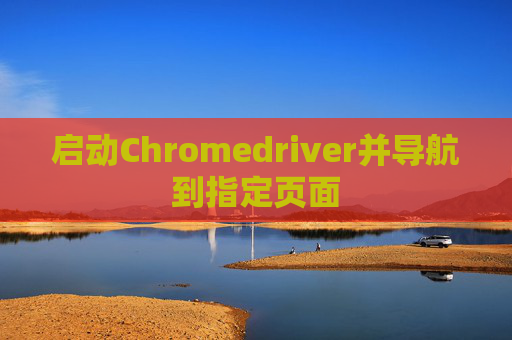 启动Chromedriver并导航到指定页面